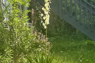 792 Briggs Hwy, Ellenville, NY 12428 - Photo 3