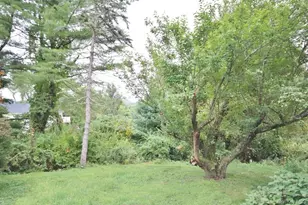 374 Bullet Hole Rd, Carmel, NY 12563 - Photo 27