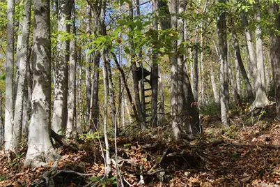 Peakville Road, Roscoe, NY 13783 - Photo 5