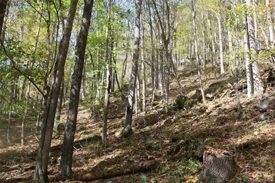 Peakville Road, Roscoe, NY 13783 - Photo 7