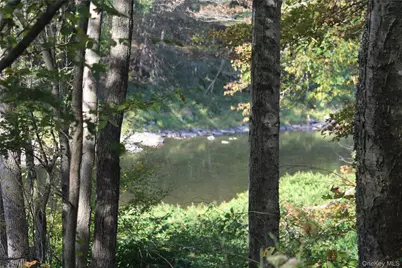 Peakville Road, Roscoe, NY 13783 - Photo 15