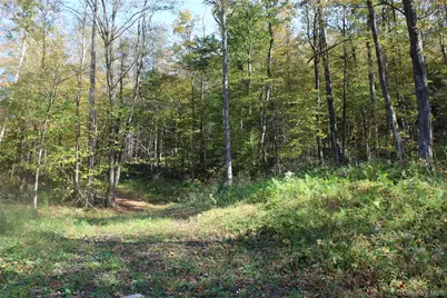 Peakville Road, Roscoe, NY 13783 - Photo 9