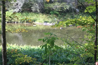 Peakville Road, Roscoe, NY 13783 - Photo 13