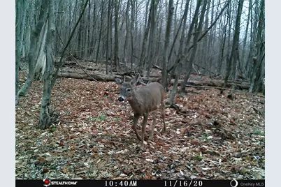 Peakville Road, Roscoe, NY 13783 - Photo 21