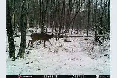 Peakville Road, Roscoe, NY 13783 - Photo 17