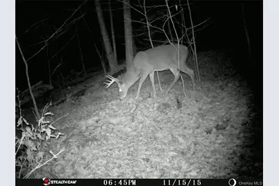 Peakville Road, Roscoe, NY 13783 - Photo 19