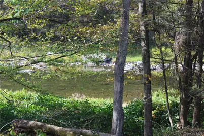 Peakville Road, Roscoe, NY 13783 - Photo 1