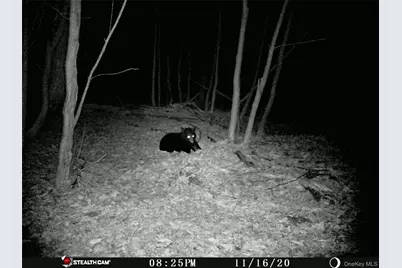 Peakville Road, Roscoe, NY 13783 - Photo 23