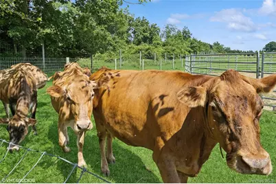 5195 Old North Road, Southold, NY 11971 - Photo 19