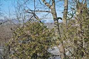 15 Keller Ln, Dobbs Ferry, NY 10522 - Photo 7