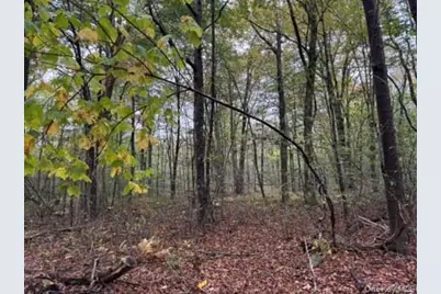 Little Ireland Road, Livingston Manor, NY 12758 - Photo 5