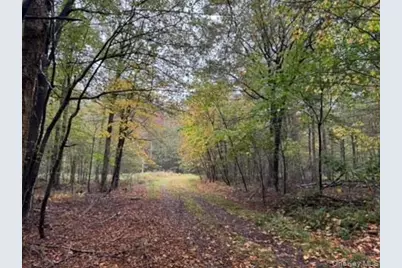 Little Ireland Road, Livingston Manor, NY 12758 - Photo 3