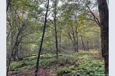 Little Ireland Road, Livingston Manor, NY 12758 - Photo 7