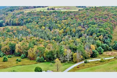 000 Kautz Road, Callicoon, NY 12723 - Photo 7