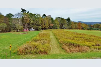 000 Kautz Road, Callicoon, NY 12723 - Photo 3