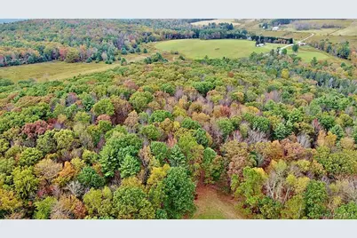 000 Kautz Road, Callicoon, NY 12723 - Photo 9