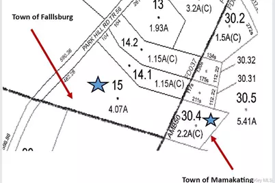 366 Park Hill Road, Mountain Dale, NY 12763 - Photo 31