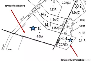 366 Park Hill Rd, Mountain Dale, NY 12763 - Photo 31