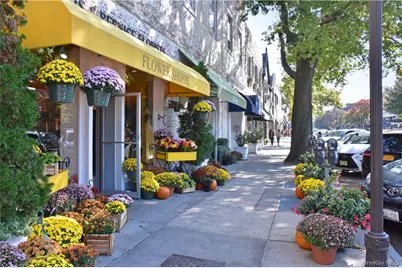 270 Bronxville Road #B43, Bronxville, NY 10708 - Photo 31