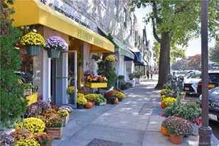 270 Bronxville Rd, Bronxville, NY 10708 - Photo 31