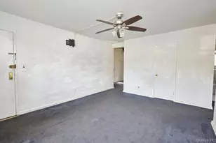 229-20 Hillside Ave., Queens Village, NY 11427 - Photo 9