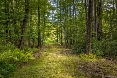 101 Lackawack Hill Road, Napanoch, NY 12458 - Photo 5