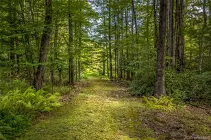 101 Lackawack Hill Rd, Napanoch, NY 12458 - Photo 5