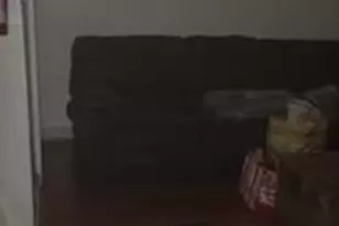 [Address not provided], Bronx, NY 10462 - Photo 11