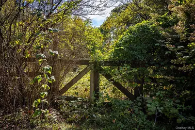 53 Tyrrel Road, Pleasant Valley, NY 12569 - Photo 29