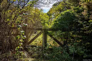 53 Tyrrel Rd, Pleasant Valley, NY 12569 - Photo 29