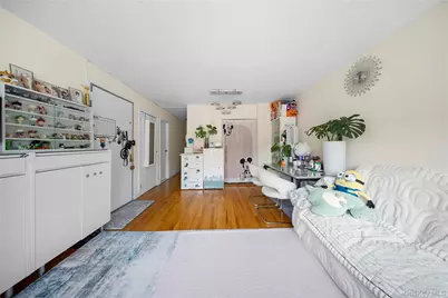 4620 161st Street #B2, Flushing, NY 11358 - Photo 17