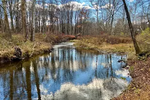 28 Clinton Corners Rd, Salt Point, NY 12578 - Photo 39