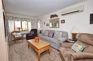 911 Covert Ave, New Hyde Park, NY 11040 - Photo 7