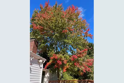 18 Adams Road, Ossining, NY 10562 - Photo 33