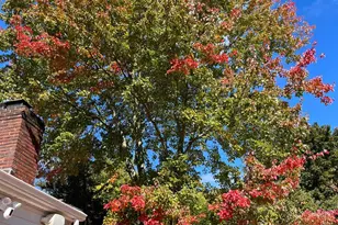 18 Adams Rd, Ossining, NY 10562 - Photo 33