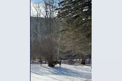 170 Maplecrest Road, Windham, NY 12496 - Photo 33