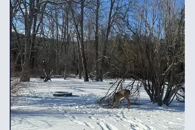 170 Maplecrest Road, Windham, NY 12496 - Photo 35