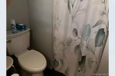 Old Country Old Country Road #44, Riverhead, NY 11901 - Photo 23