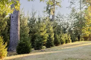 63 Colonial Ave, Warwick, NY 10990 - Photo 31