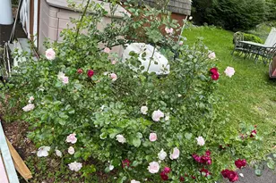 257 Lake Rd, Salisbury Mills, NY 12577 - Photo 27