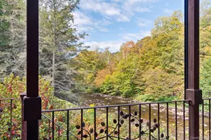 1009 Beaverkill Rd, Livingston Manor, NY 12758 - Photo 19