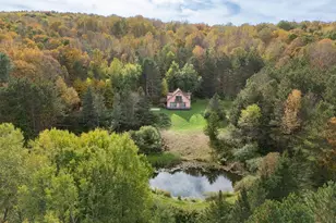 515 Magic Mountain Rd, Bloomville, NY 13739 - Photo 7