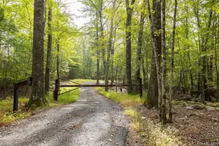 72 Van Tine Rd, Kerhonkson, NY 12446 - Photo 39