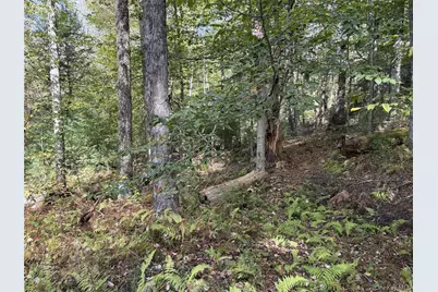 17 Lot 17 Desmond Crossing, Bethel, NY 12720 - Photo 7