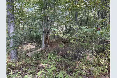 17 Lot 17 Desmond Crossing, Bethel, NY 12720 - Photo 5