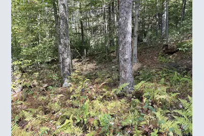 17 Lot 17 Desmond Crossing, Bethel, NY 12720 - Photo 11