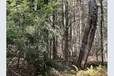 17 Lot 17 Desmond Crossing, Bethel, NY 12720 - Photo 3