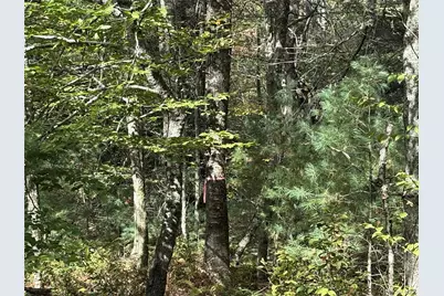 17 Lot 17 Desmond Crossing, Bethel, NY 12720 - Photo 9