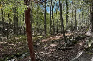 98 Eastwoods Rd, Pound Ridge, NY 10576 - Photo 9