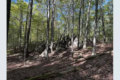 98 Eastwoods Road, Pound Ridge, NY 10576 - Photo 9